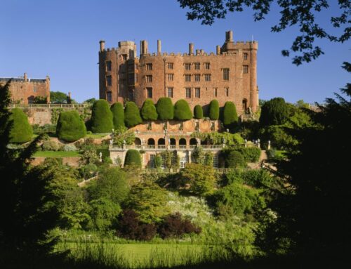 One-off exhibition opens at Powis Castle for autumn