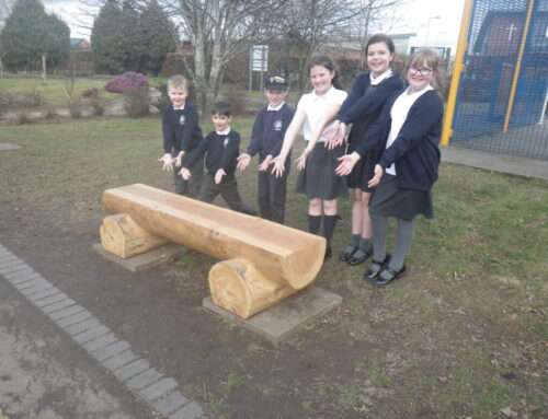 Friendship Bench donated to The Meadows Primary School