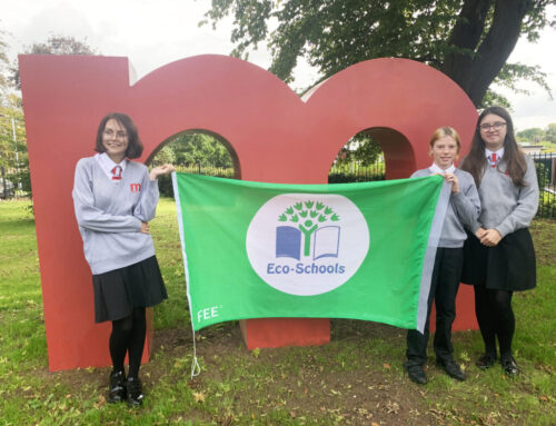 Students awarded a coveted Eco-Schools Green Flag with Merit
